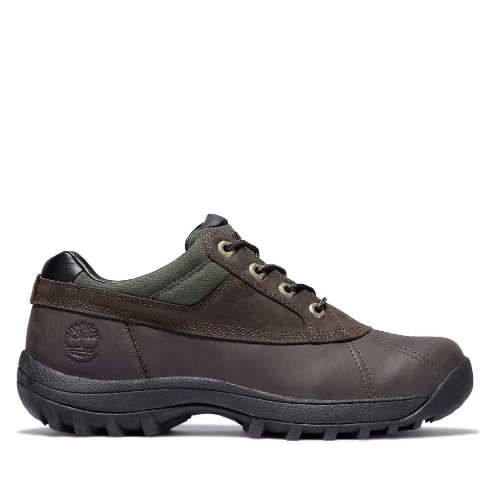 Timberland Mens Oxford Shoes Canard Waterproof - Brown - India QB0947152